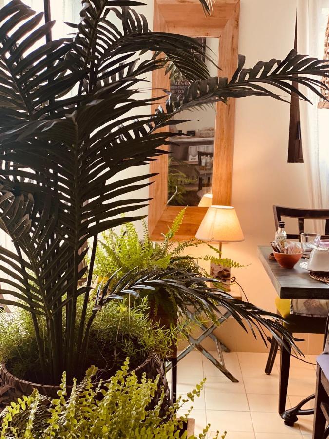 Casa Ruy Lopez Hotel Сафра Екстериор снимка