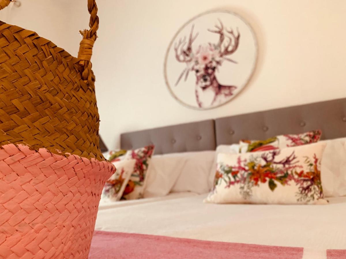Casa Ruy Lopez Hotel Сафра Екстериор снимка